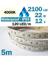 IP65 Ultra High Bright high density LED strip Cold White 6000K.