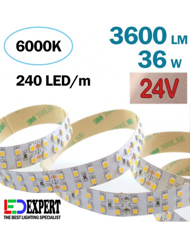 3600lumen/m double row 6000K 24V Cold White LED Strip IP20