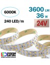 3600lumen/m double row 6000K 24V Cold White LED Strip IP20