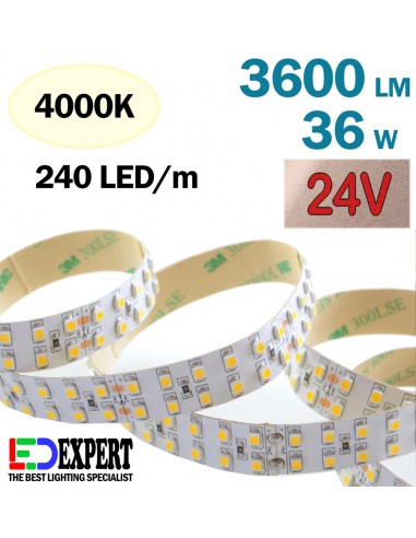 3600 lumen/m double row 4000K 24V Natural White LED Strip IP20