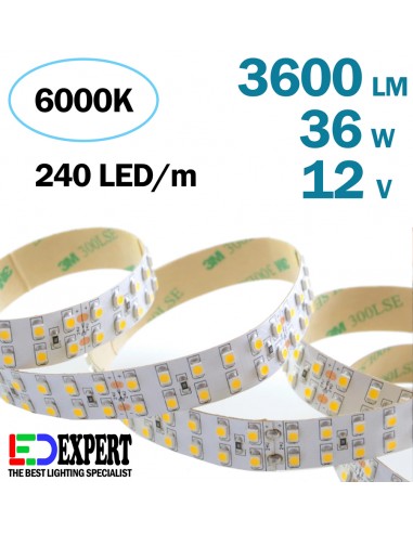 3600lumen/m double row 6000K 12V Cold White LED Strip IP20