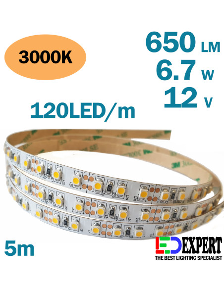 3528 LED Strip 3528 120 per meter Warm White