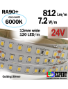 CC STRIP MAX 20M COLD WHITE