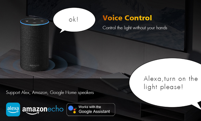 Amazon Alexa Controlling